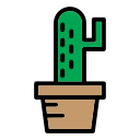 Кактус icon