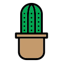 Кактус icon