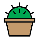 Кактус icon