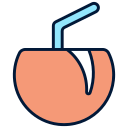 coconauto icon