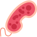 bacterias icon