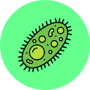 bacterias icon