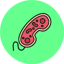 bacterias