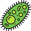 bacterias icon