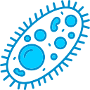 bacterias icon