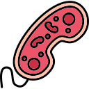 bacterias icon