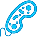 bacterias icon