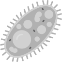 bacterias icon