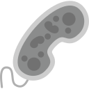 bacterias icon