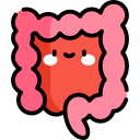 intestino grueso icon