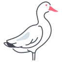 pato icon