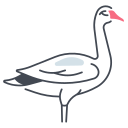 cisne icon