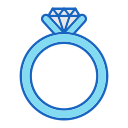 anillo icon