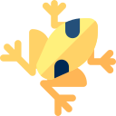 atelopus varius icon