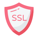 ssl icon