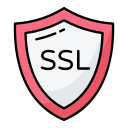 ssl icon