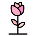 rosa icon