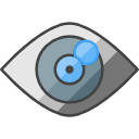 ojo icon