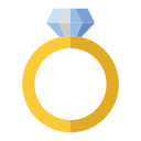 anillo icon