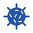 Virus