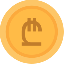 lari icon