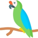 guacamayo 