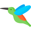 colibrí 