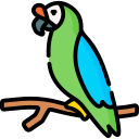 guacamayo icon