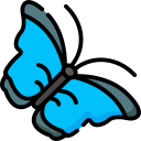 mariposa icon