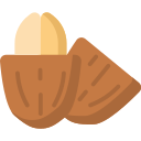 Cacao