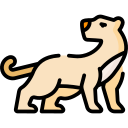 puma icon