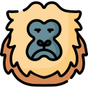 mono león dorado icon