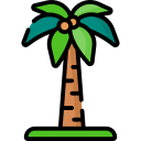 palmera icon