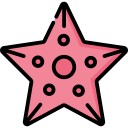 estrella de mar icon