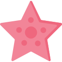 estrella de mar