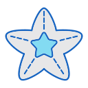 estrella de mar 