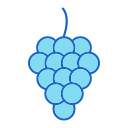 uvas icon