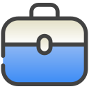 bolso icon