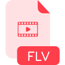 flv icon