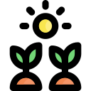 cultivo icon