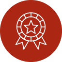 Medal  icon