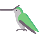 colibrí icon