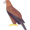 Águila icon