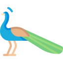 pavo real icon