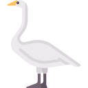 cisne icon