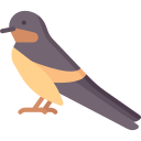 golondrina icon