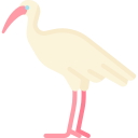 ibis icon