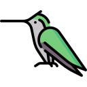 colibrí icon