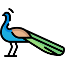 pavo real icon