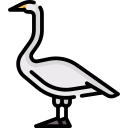 cisne icon